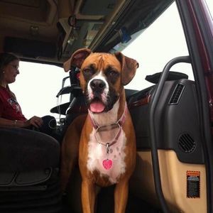 Meet your Posher, Jay